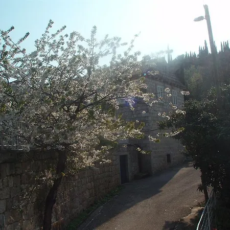 Rudjer Lejlighed Dubrovnik
